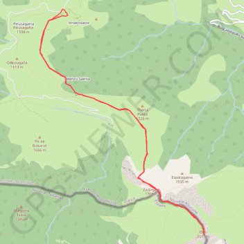 Pic-d-Orhy-par-la-crete-Zazpigain-Topopyrenees GPS track, route, trail